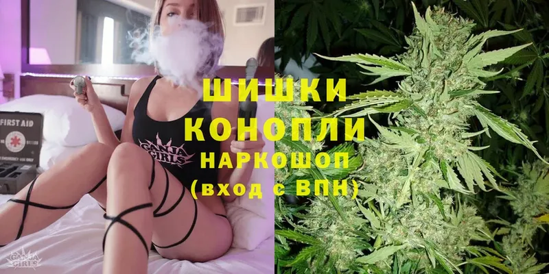 Канабис SATIVA & INDICA  Кедровый 